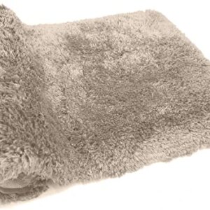 FIFU Bathroom Rugs Non-Slip, Soft Shaggy Bath Rugs for Bathroom, Microfiber Bath Mats for Bathroom Floor, Absorbent Plush Bathroom Mats, Machine Washable Bathroom Rug Mat 24x36 Beige