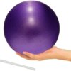 9 Inch Exercise Pilates Ball Mini Exercise Barre Ball for Yoga,Stability Exercise Training Gym Anti Burst and Slip Resistant Balls Physical Therapy Improves Balance, Core Strength, Back Pain Posture