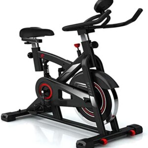 ANUGU Spinning Bikes for Home,Indoor Bicycle Exercise Machine, Mute Home Weight Loss Fitness Equipment Comfortable Seat Cardio Traning