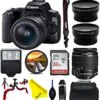 EOS 250D DSLR Camera with Canon EF-S 18-55mm Lens - Basic Intermidiate Bundle (International Version)