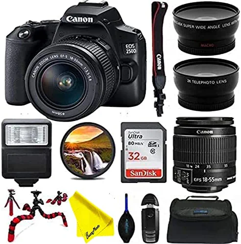 EOS 250D DSLR Camera with Canon EF-S 18-55mm Lens - Basic Intermidiate Bundle (International Version)