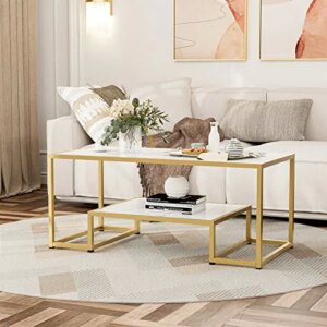 Modern Marble Coffee Table with Gold Metal Frame and Storage Shelf, 2 Tier Living Room Center Table for Home Furniture Office Decor