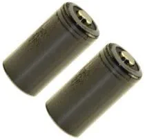 Replacement for SPORTDOG CS-300 by Technical Precision Battery 2 Pack