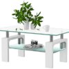 SunsGrove Rectangle Glass Coffee Table Tea Table Modern 2-Tier Center Table with Tempered Glass and Metal Tube Legs for Living Room (White)