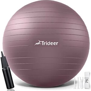 Trideer Exercise Ball, Nature Themed Yoga Ball, Easily Inflated Ball Chair, for Workout, Stability, Balance, Physical Therapy & Pregnancy, Quick Pump Included