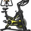 GOFLYSHINE Exercise Bikes Stationary,Exercise Bike for Home Indoor Cycling Bike for Home Cardio Gym,Workout Bike with 35 LBS Flywheel