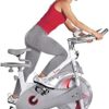 Sunny Health & Fitness Magnetic Belt Drive Premium Indoor Cycling Bike - SF-B1876